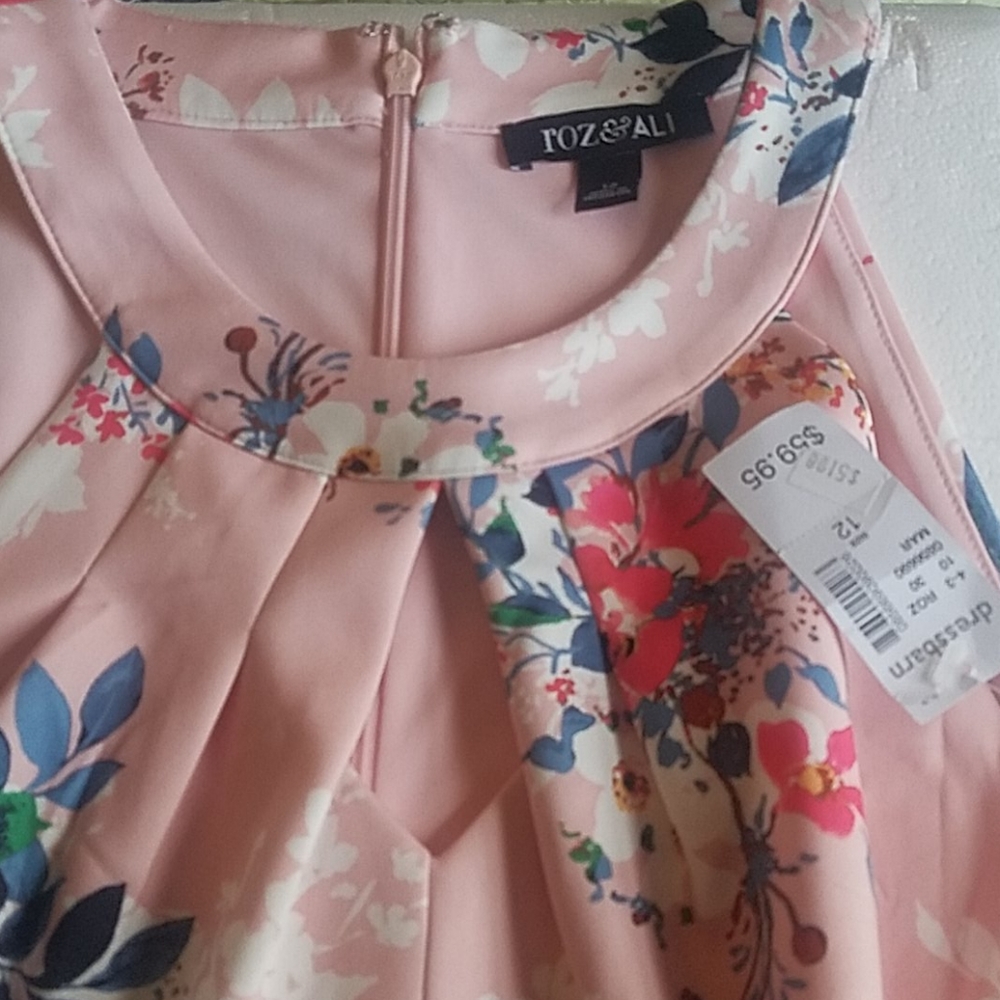NWT Beautiful Roz &Ali spring dress